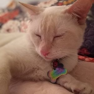 Meet your Posher, Doris